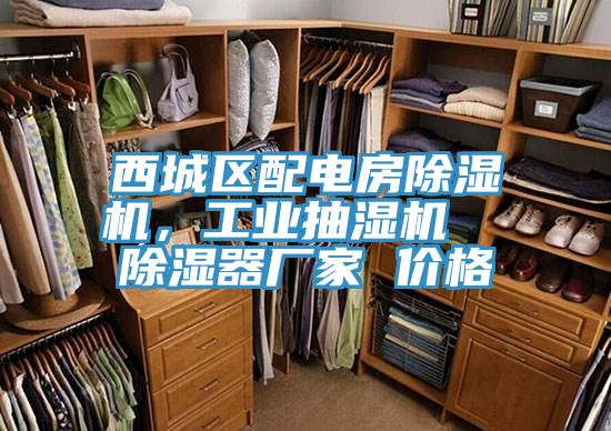 西城區(qū)配電房除濕機，工業(yè)抽濕機  除濕器廠家 價格