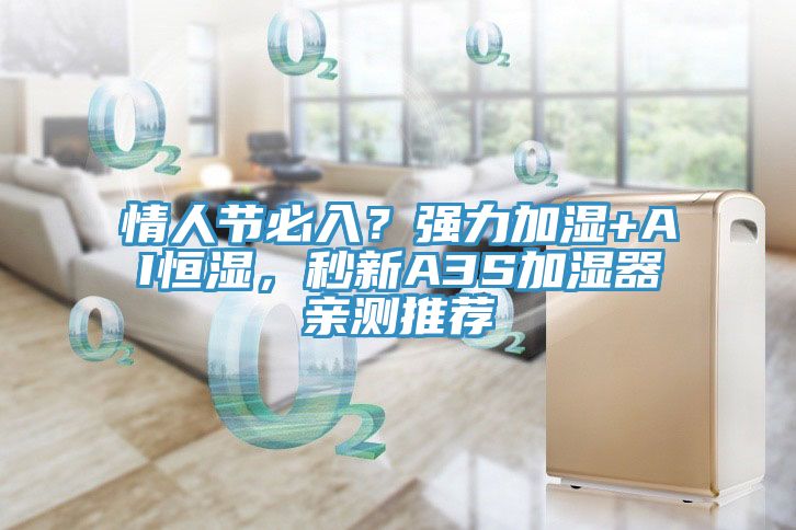 情人節必入？強力加濕+AI恒濕，秒新A3S加濕器親測推薦