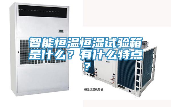 智能恒溫恒濕試驗(yàn)箱是什么？有什么特點(diǎn)？