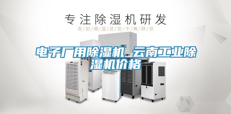 電子廠用除濕機(jī) 云南工業(yè)除濕機(jī)價格