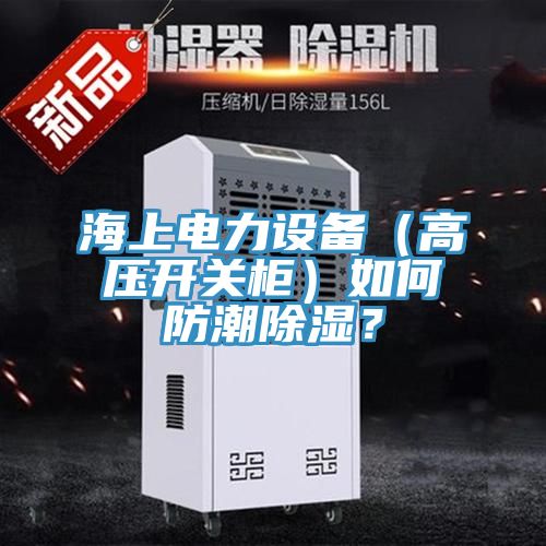 海上電力設(shè)備（高壓開(kāi)關(guān)柜）如何防潮除濕？