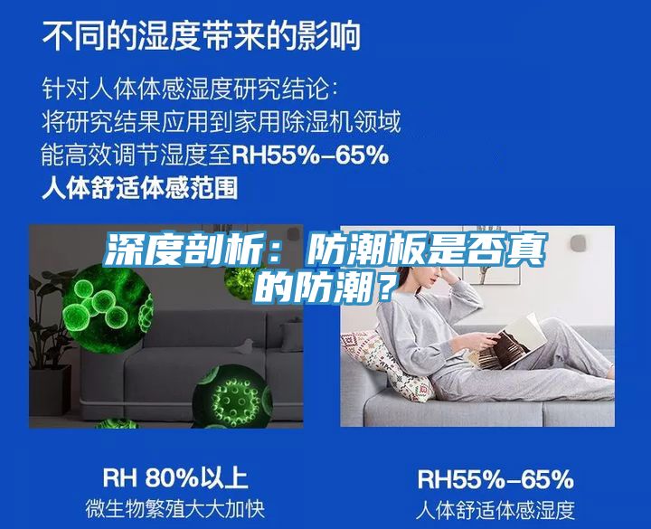 深度剖析：防潮板是否真的防潮？