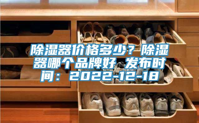 除濕器價格多少？除濕器哪個品牌好 發(fā)布時間：2022-12-18