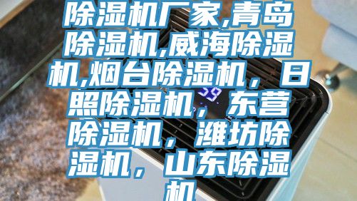 除濕機(jī)廠家,青島除濕機(jī),威海除濕機(jī),煙臺(tái)除濕機(jī)，日照除濕機(jī)，東營除濕機(jī)，濰坊除濕機(jī)，山東除濕機(jī)