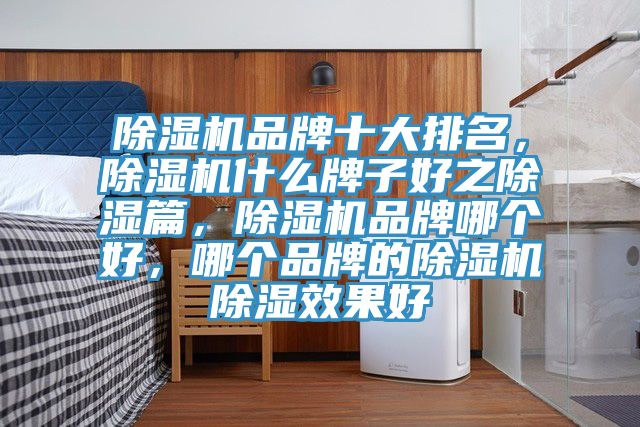 除濕機品牌十大排名，除濕機什么牌子好之除濕篇，除濕機品牌哪個好，哪個品牌的除濕機除濕效果好
