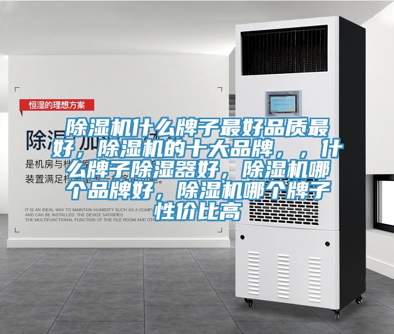 除濕機(jī)什么牌子最好品質(zhì)最好，除濕機(jī)的十大品牌，，什么牌子除濕器好，除濕機(jī)哪個品牌好，除濕機(jī)哪個牌子性價比高