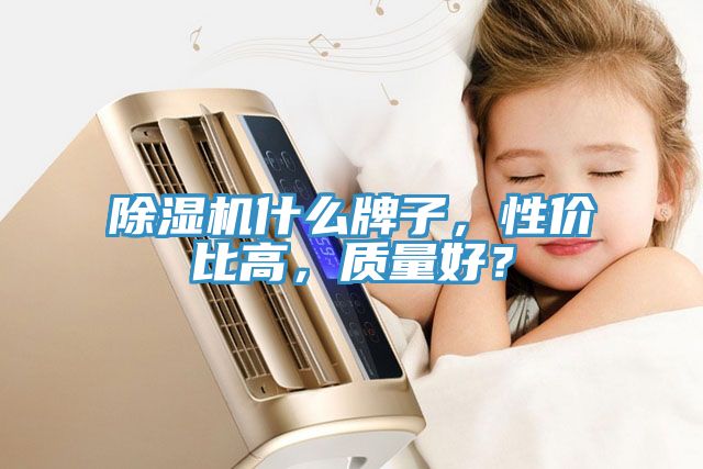 除濕機(jī)什么牌子，性價比高，質(zhì)量好？
