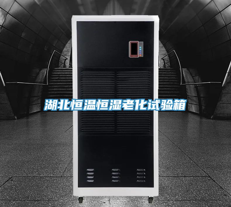 湖北恒溫恒濕老化試驗箱