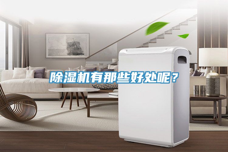 除濕機有那些好處呢？