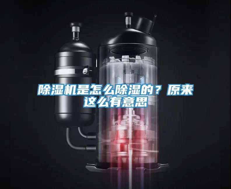 除濕機是怎么除濕的？原來這么有意思