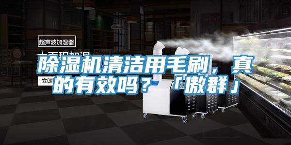 除濕機清潔用毛刷，真的有效嗎？「傲群」