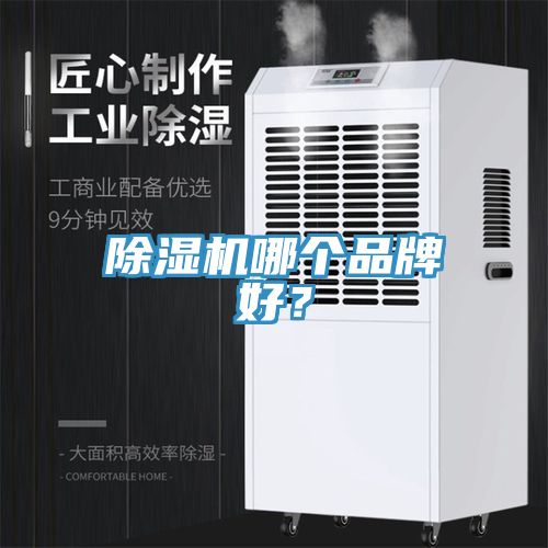 除濕機(jī)哪個(gè)品牌好?
