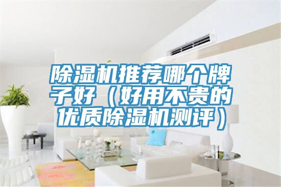 除濕機(jī)推薦哪個(gè)牌子好(好用不貴的優(yōu)質(zhì)除濕機(jī)測(cè)評(píng))